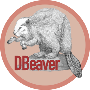 dbeaver review